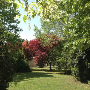 Sejur Hotel Molí De L'escala vacanta l'Escala