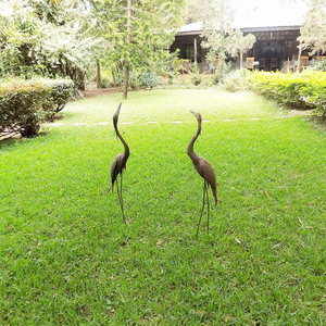 Hotel Octagon Lodge cazare Kiratu