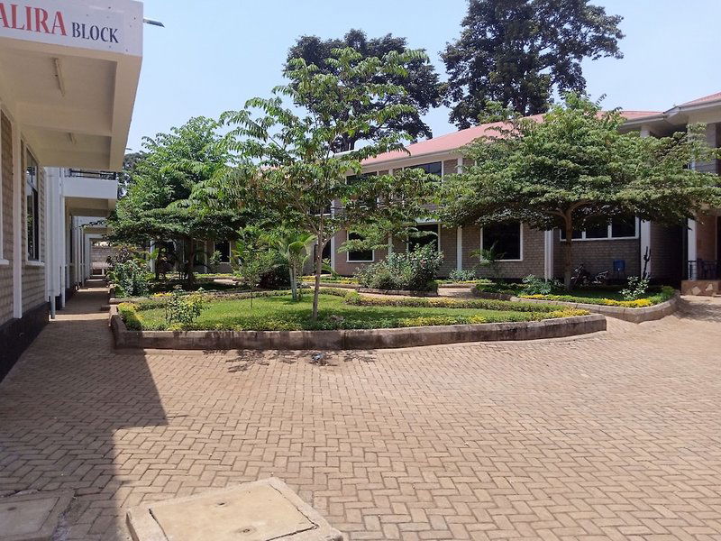 Hotel Kilimanjaro Eco Hostel