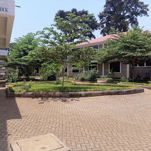 Hotel Kilimanjaro Eco Hostel cazare Moshi