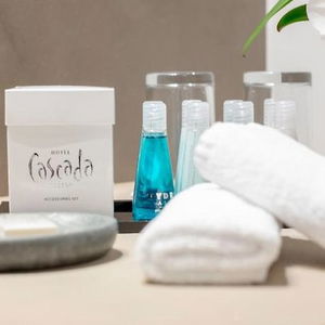 Hotel Cascada Boutique Hotel cazare Lucerna