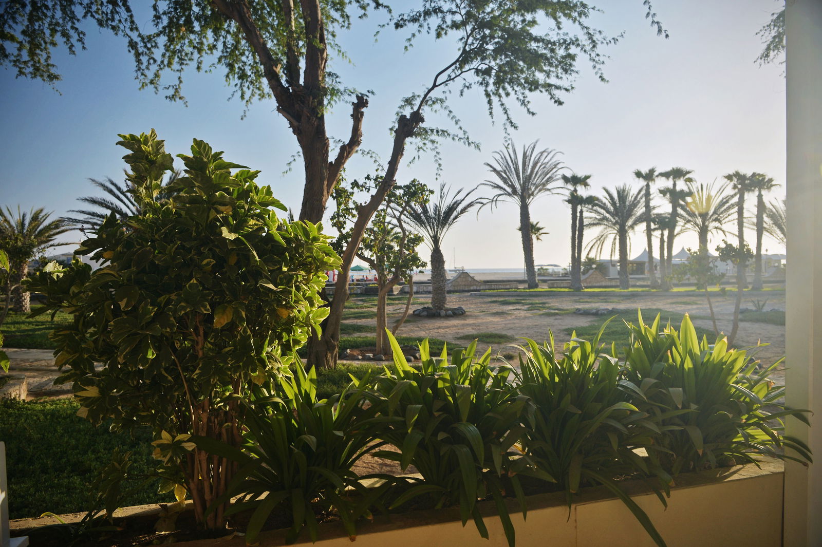 Hotel Hotel Morabeza