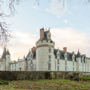 Hotel Chateau De Dissay cazare Dissay