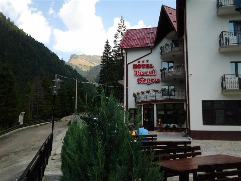 Piscul Negru Hotel