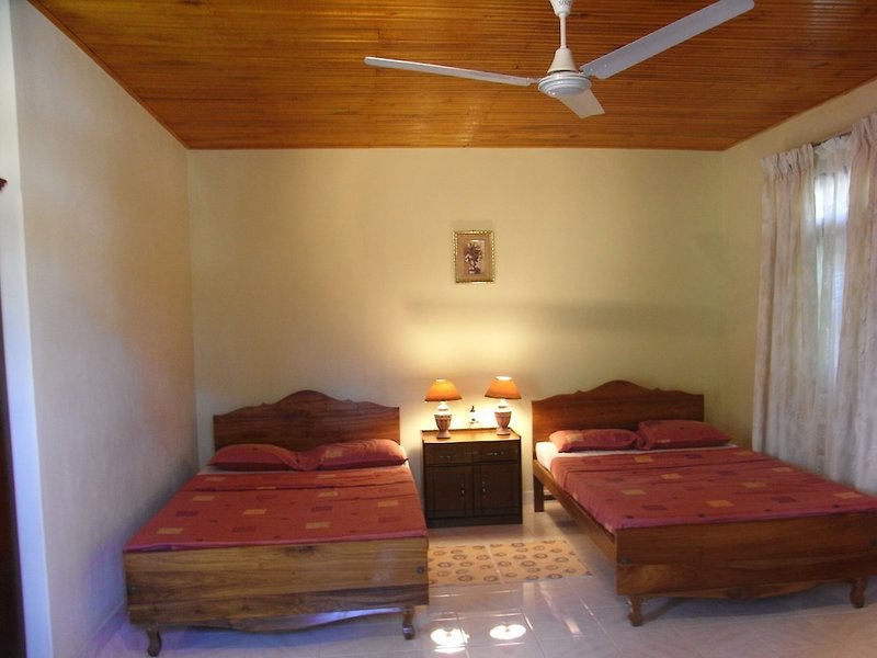 Hotel Rainforest Lodge