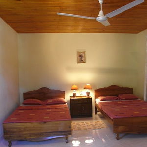 Sejur Rainforest Lodge vacanta Deniyaya