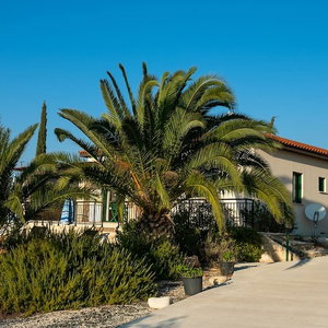 Hotel Villa Hermes cazare Coral Bay