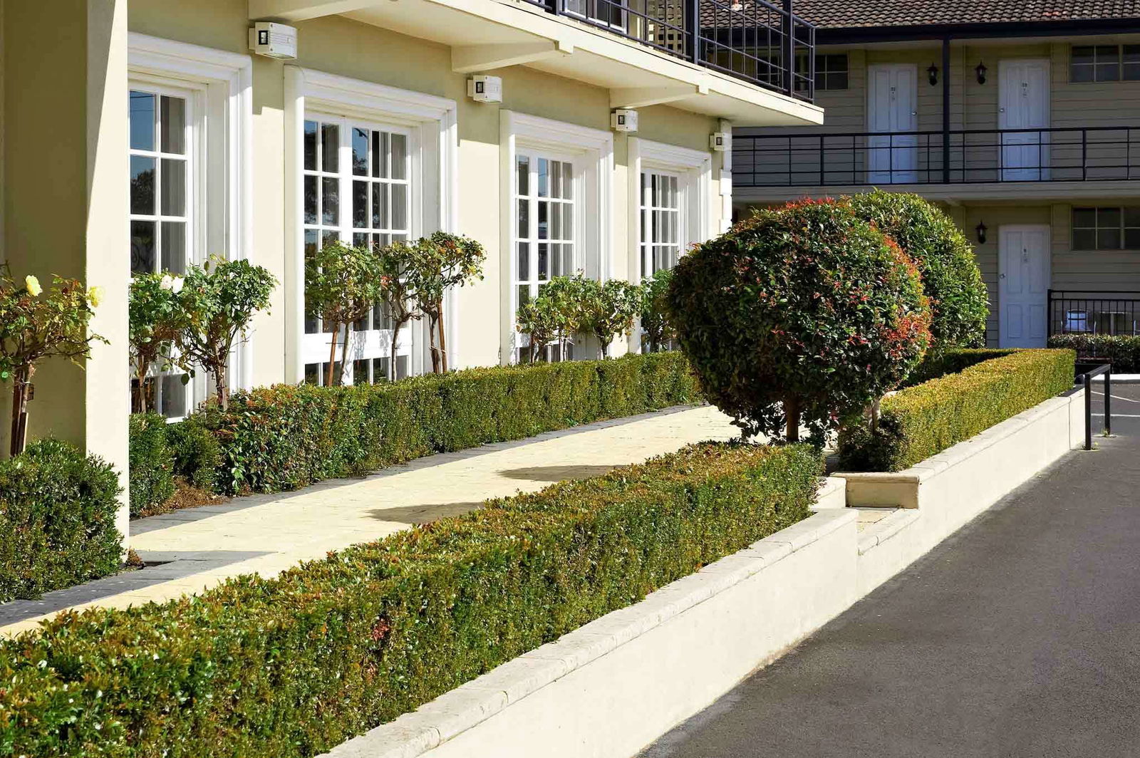 Hotel Ibis Styles Albany Hotel