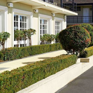 Hotel Ibis Styles Albany Hotel cazare Albany