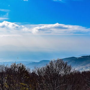 Hotel Tasia Hotel cazare Volos