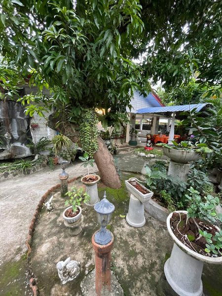 Hotel Rock Cascade Home Stay