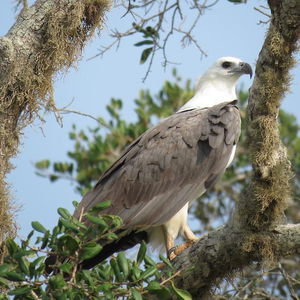 Hotel Golden Park cazare Tissamaharama