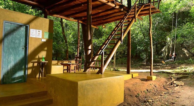 Back Of Beyond, Pidurangala