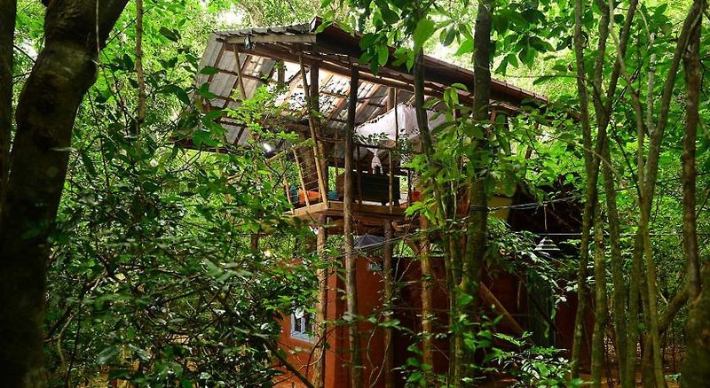 Back Of Beyond, Pidurangala