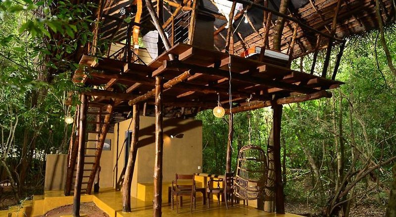 Back Of Beyond, Pidurangala