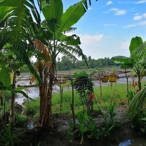 Hotel Viveka Inn Guest cazare Tissamaharama