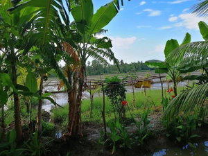 Hotel Viveka Inn Guest cazare Tissamaharama
