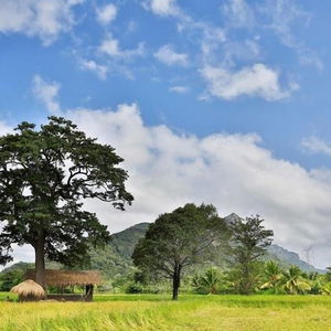 Hotel Kalundewa Retreat cazare Dambulla