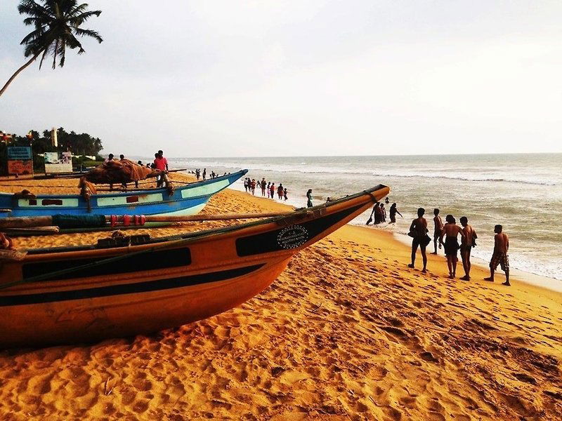 Hotel Marigold Beach House