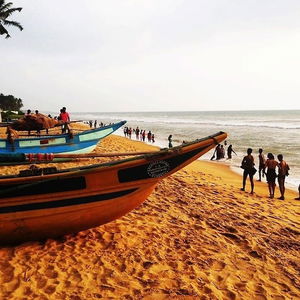 Hotel Marigold Beach House cazare Meda Wadduwa