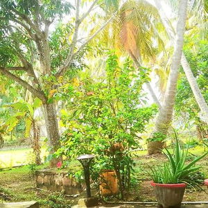 Hotel Traveller's Home Hotel cazare Tissamaharama