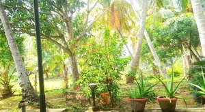 Hotel Traveller's Home Hotel cazare Tissamaharama