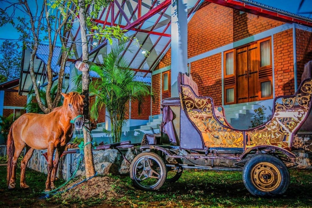 Hotel Hotel Viverra