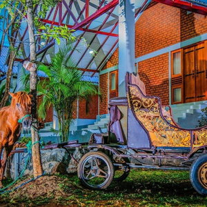 Hotel Hotel Viverra cazare Giritale