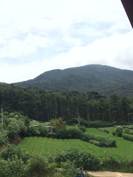 Cottage San Francesco
