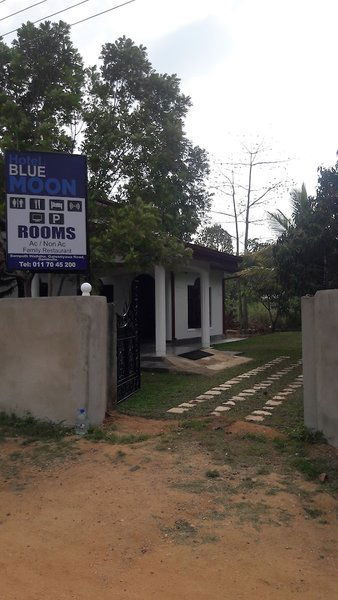 Hotel Hotel Blue Moon