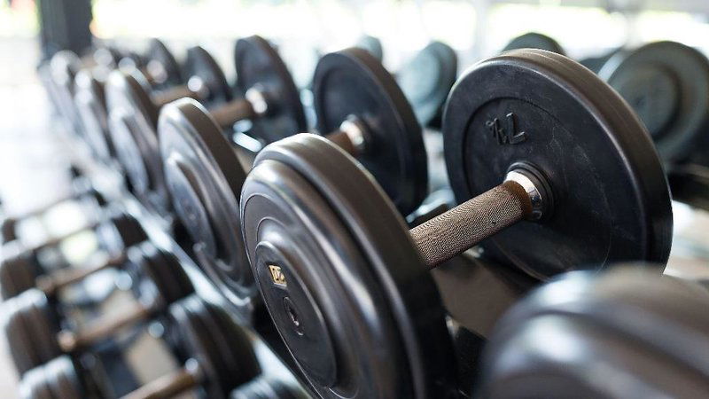 Hotel Hotel Indigo The Hague - Palace Noordeinde, An Ihg Hotel