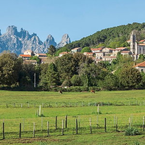 Hotel Domaine Le Mouflon D'or cazare Zonza
