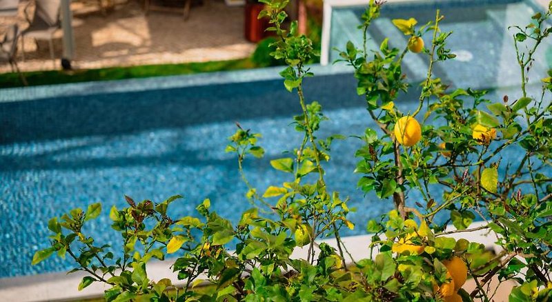 Hotel Jardim Da Lapa By Shiadu