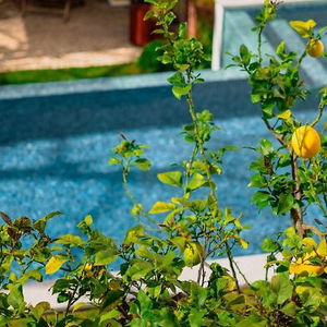 Hotel Jardim Da Lapa By Shiadu cazare Clinton