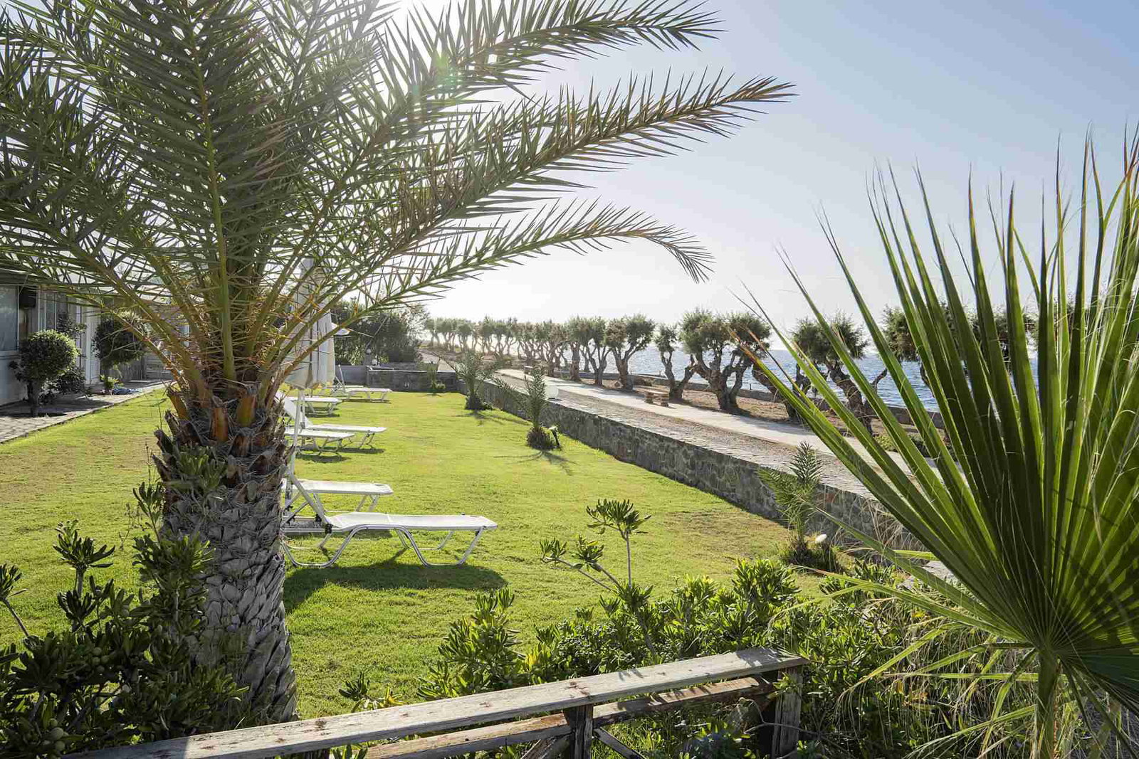 dal travel Maritimo Beach Hotel