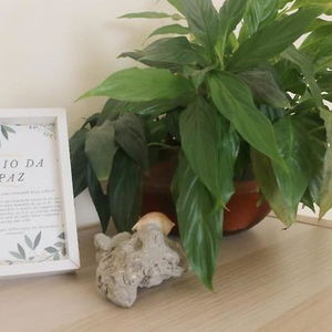 Hotel Green Element cazare Costa de Caparica