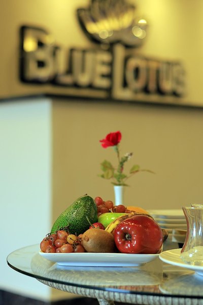 Hotel Blue Lotus Nile Suites Hotel Aswan