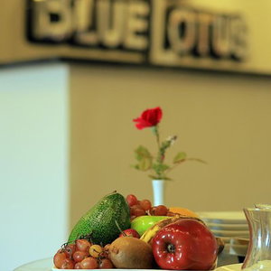 Hotel Blue Lotus Nile Suites Hotel Aswan cazare Aswan