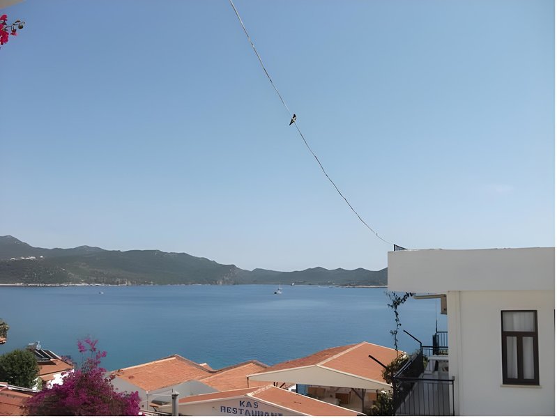 Hotel Sardunya Hotel