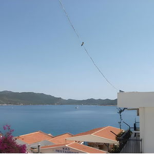 Hotel Sardunya Hotel cazare Kas