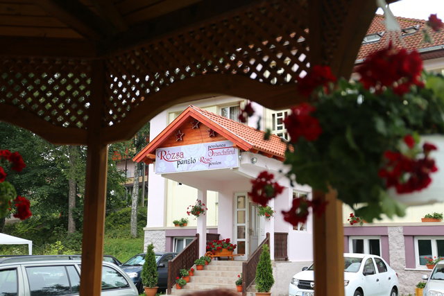 Hotel Pension Rose (Trandafirul)