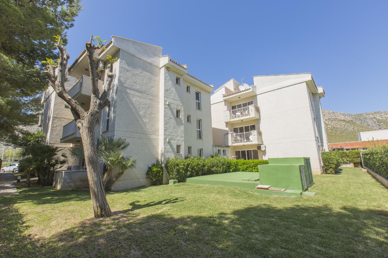 Hotel Apartamentos Massol