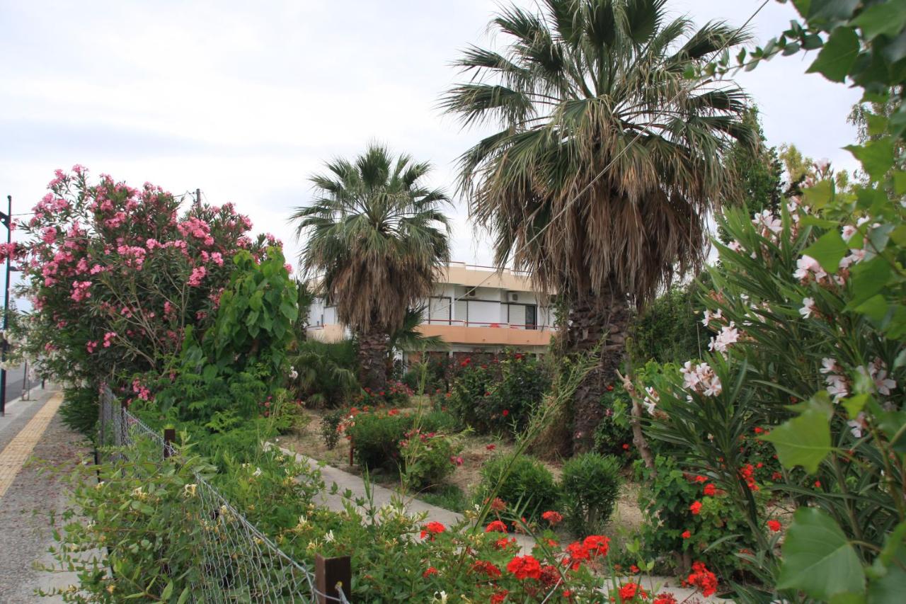 dal travel Violetta Hotel