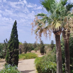 Hotel Son Julia Country House & Spa cazare Llucmajor