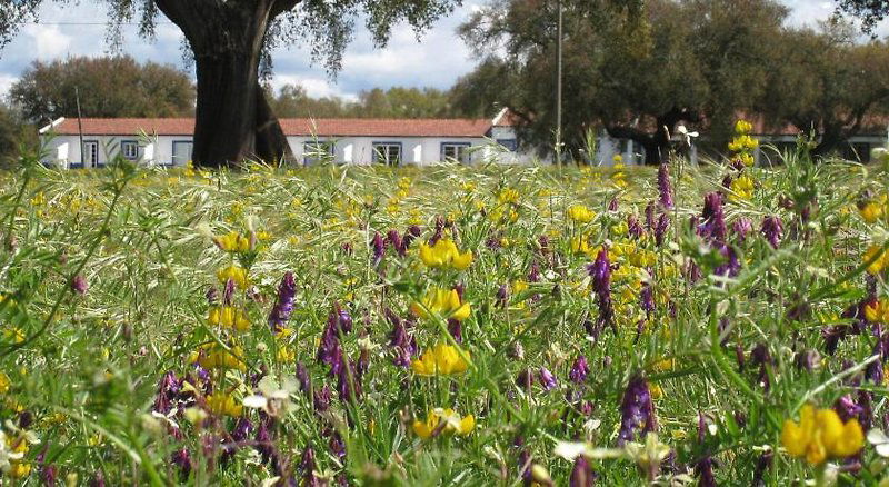 Hotel Monte Das Faias