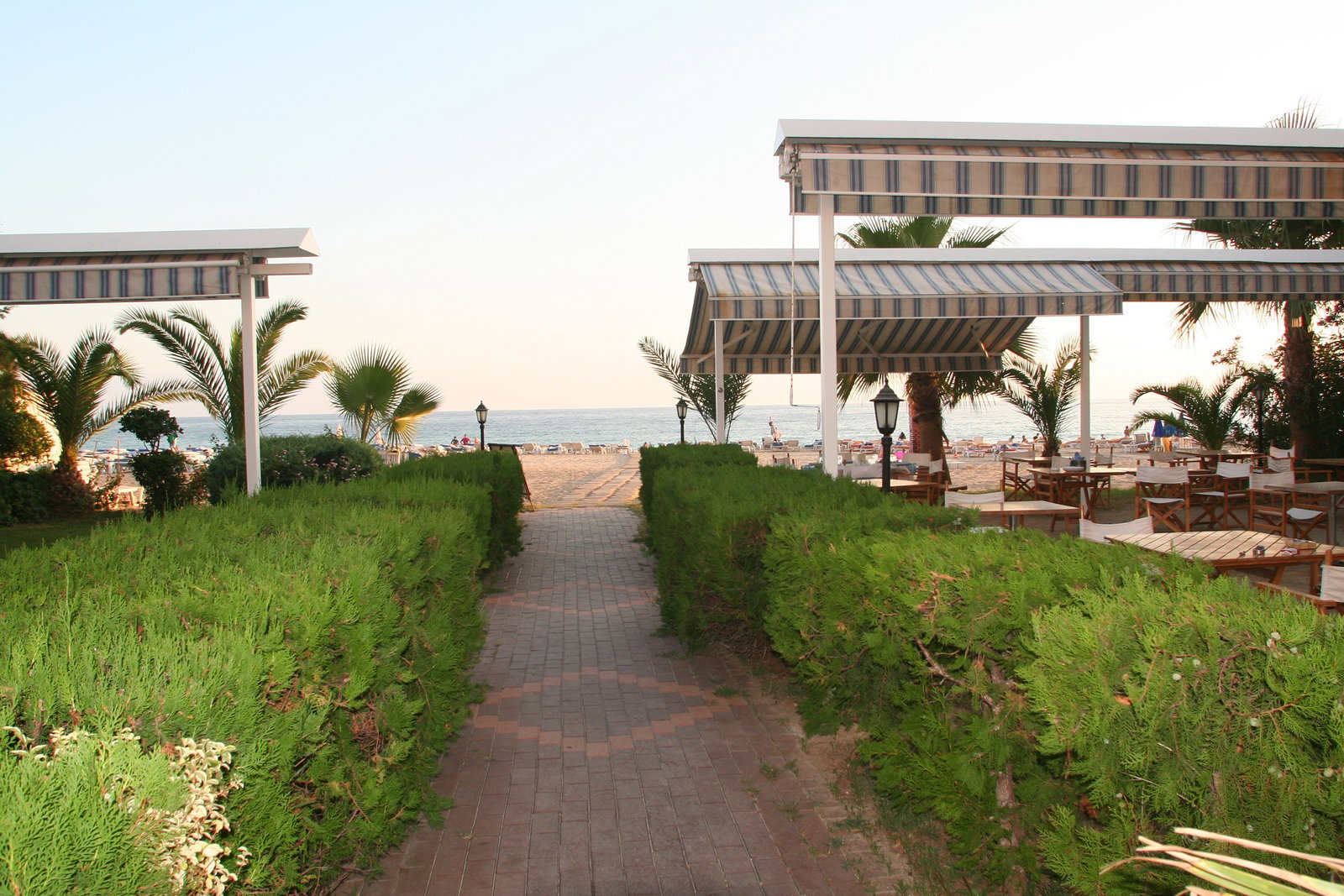 dal travel Elysee Beach Hotel