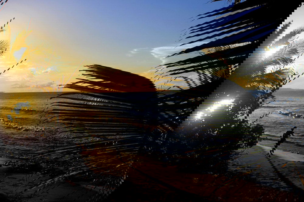 Hotel Hotel French Coco