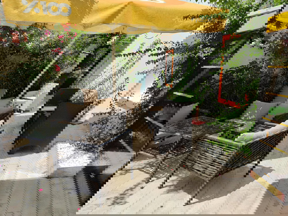 Hotel The Professor's Hotel