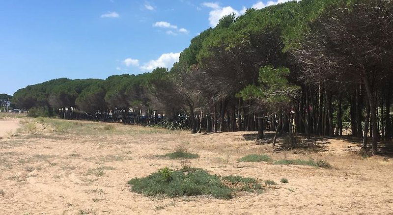 Hotel Residence Cort'e Accas