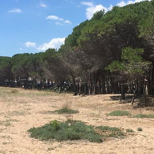 Sejur Residence Cort'e Accas vacanta Bari Sardo